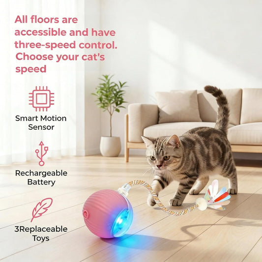 Interactive Cat Toy Ball, Automatic Rolling Toy, 3 Play Modes Rechargeable