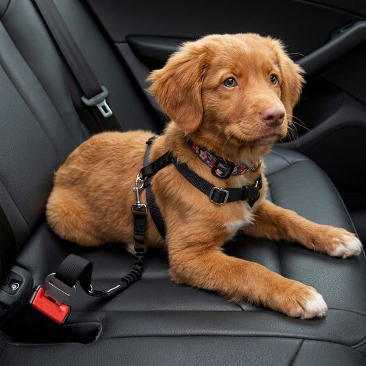 Retractable Dog Seat Belt, Adjustable Safety Belt, 2 Pack
