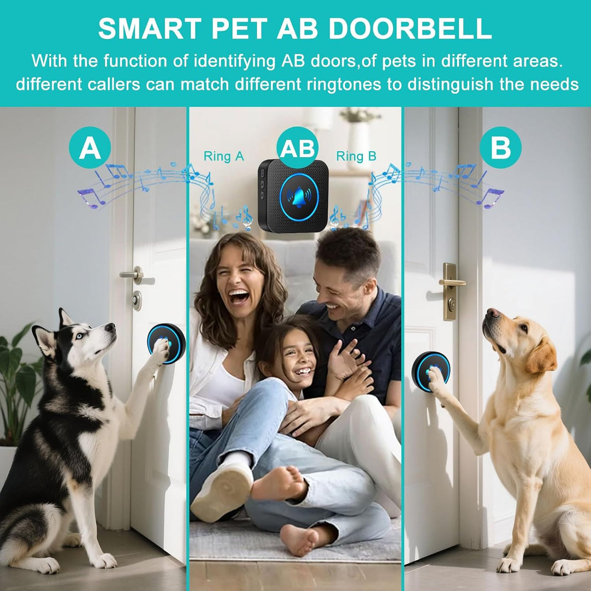 Dog Door Bell for Potty Training, Smart Wireless Doggie Doorbell to Go Outside, 1000 Feet Long Range with IP65 Waterproof Super-Light Touch Button, 60 Melodies & Adjustable Volume (2 Button)