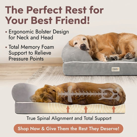 Orthopedic Dog Bed