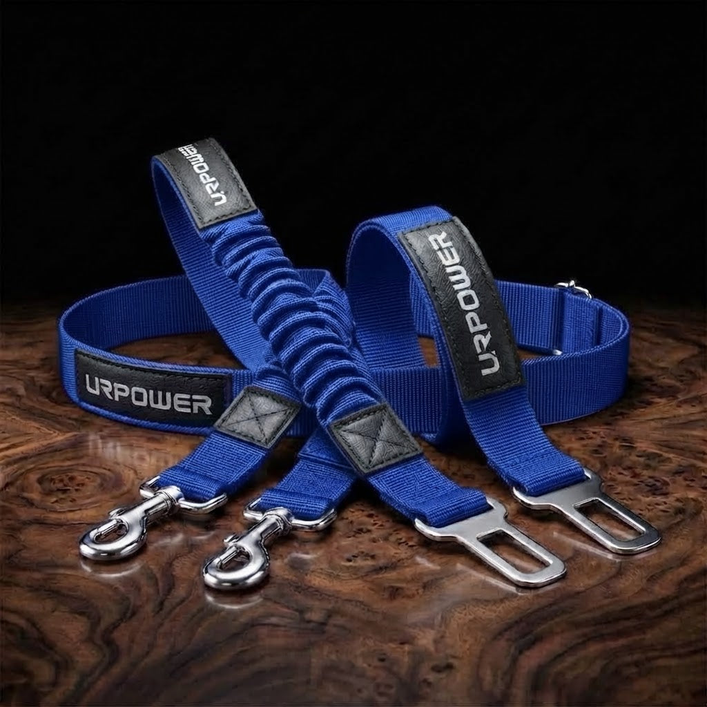 Retractable Dog Seat Belt, Adjustable Safety Belt, 2 Pack