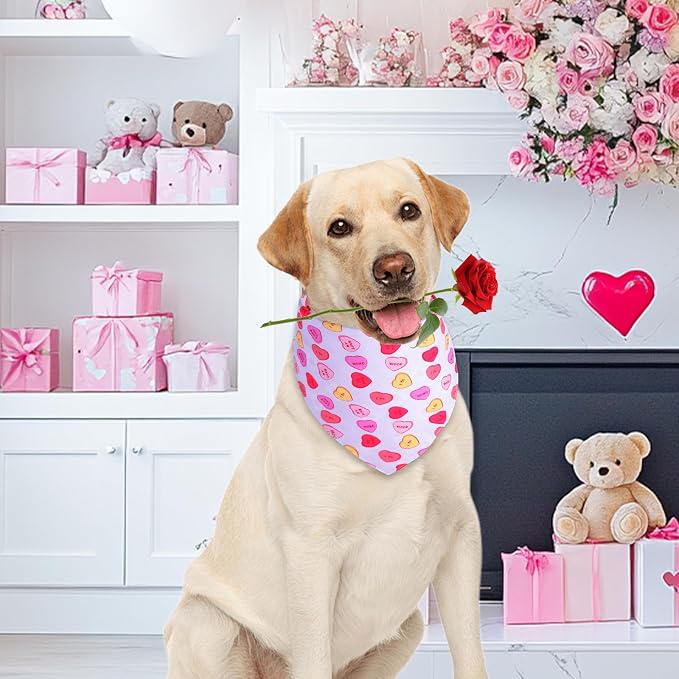 Reversible Dog Bandana - Halloween, Thanksgiving, Valentine, Easter & St Patricks Pet Scarf