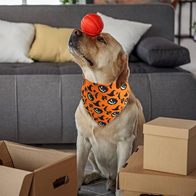 Reversible Dog Bandana - Halloween, Thanksgiving, Valentine, Easter & St Patricks Pet Scarf