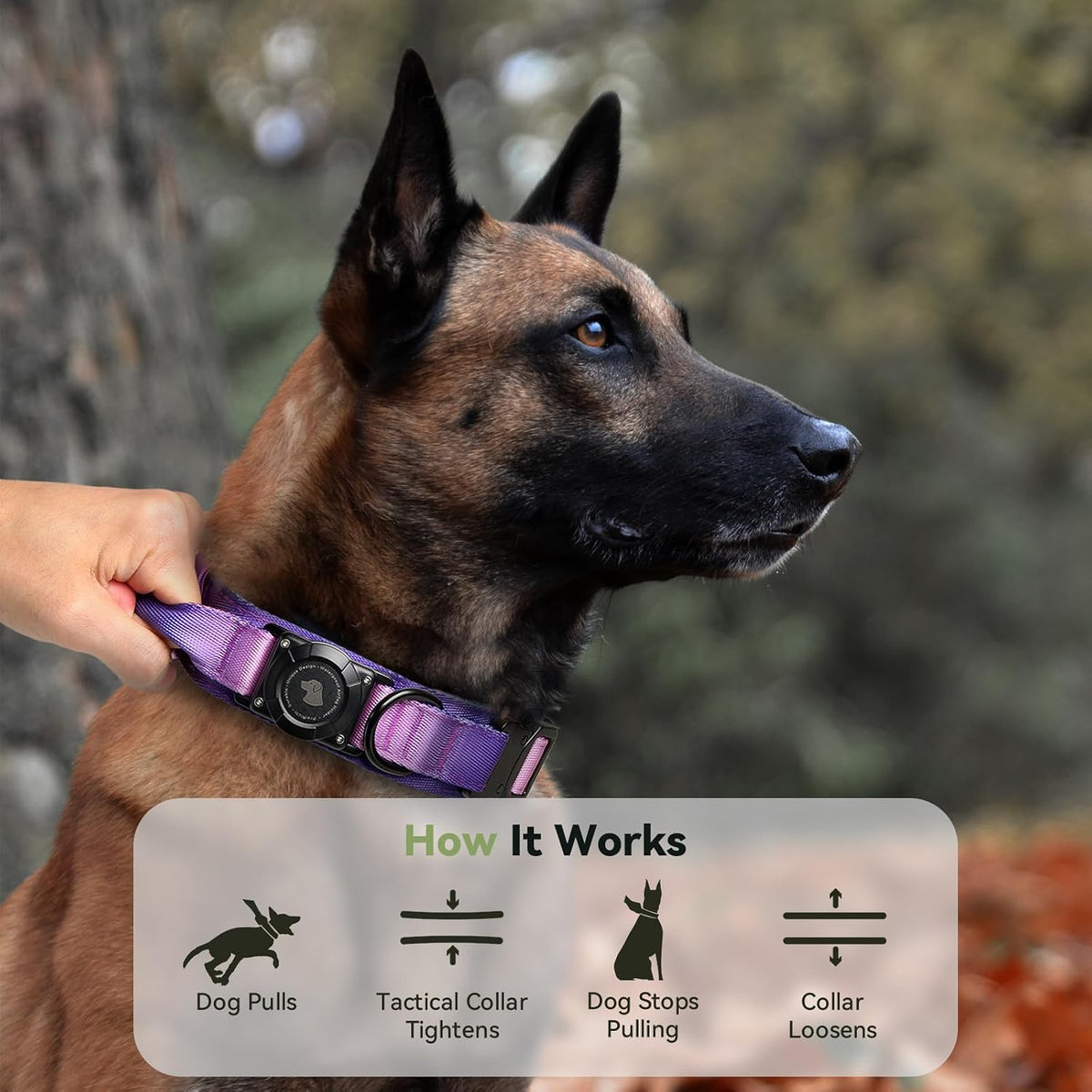 2026 Upgrade Waterproof Tactical Airtag Dog Collar, Built in Airtag Holder