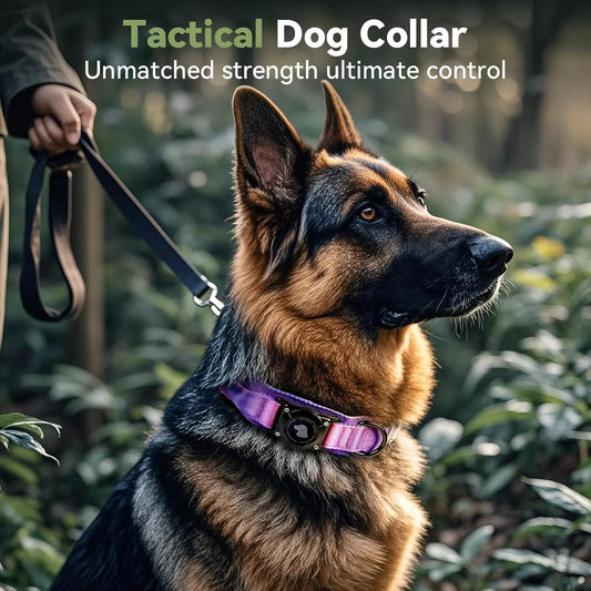2026 Upgrade Waterproof Tactical Airtag Dog Collar, Built in Airtag Holder